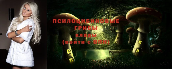 герыч Аркадак